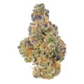 strain-5